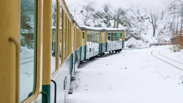 Vista Del Tren Vapor Movimiento Mocanita Desde Interior Bosque Desnudo — Vídeos de Stock