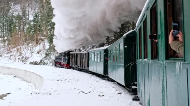 内部からの移動蒸気機関車モカニタの眺め 冬の裸の森 乗客の撮影 ルーマニア — ストック動画