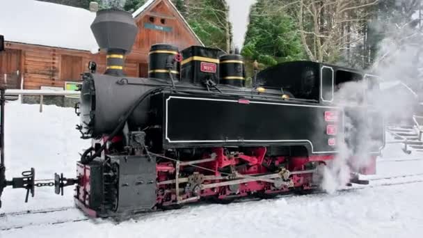 Blick Auf Den Stillgelegten Dampfzug Mocanita Auf Einem Bahnhof Winter — Stockvideo