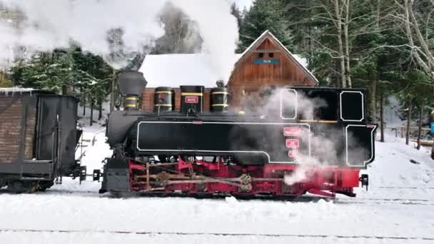 มมองของรถไฟไอน าบาดแผล โมคาน บนสถาน รถไฟในฤด หนาว โรมาเน — วีดีโอสต็อก
