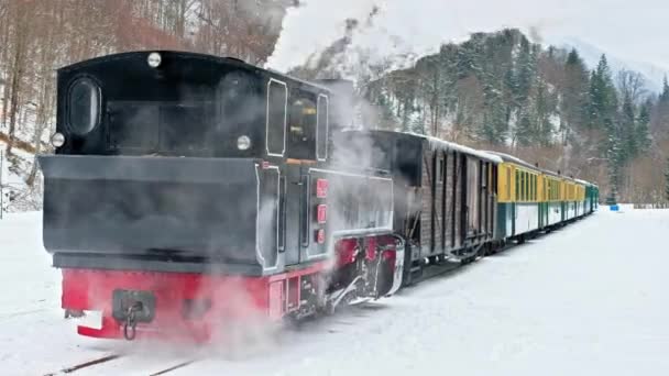 Blick Auf Den Aufgelösten Dampfzug Mocanita Auf Einem Bahnhof Winter — Stockvideo