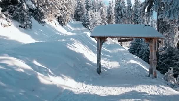 Ein Weg Durch Den Verschneiten Wald Den Karpaten Rumänien — Stockvideo
