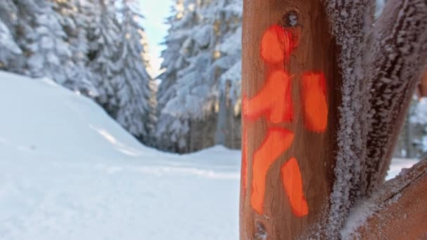 Wanderzeichen Einem Holzzaun Schneebedeckten Wald Den Karpaten Rumänien — Stockvideo