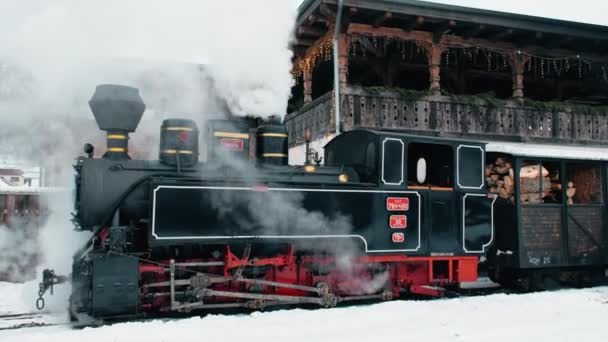 Viseu Sus Romania Enero 2022 Vista Del Tren Vapor Enrollado — Vídeos de Stock