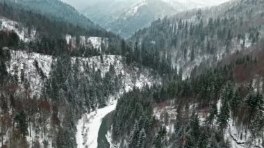 Nehirli bir vadinin hava aracı manzarası, çıplak orman, kış, kar ve Romanya ile kaplı tepeler