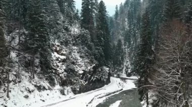 Nehirli bir vadinin hava aracı manzarası, çıplak orman, kış, kar ve Romanya ile kaplı tepeler