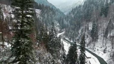Nehirli bir vadinin hava aracı manzarası, çıplak orman, kış, kar ve Romanya ile kaplı tepeler