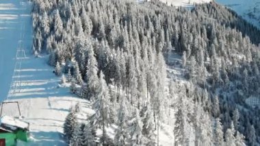 Romanya 'nın kışın Karpatların insansız hava aracı görüntüsü. Çıplak orman ve kar