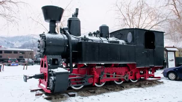 Viseu Sus Rumänien Januar 2022 Eine Ausstellungskopie Einer Dampflokomotive Auf — Stockvideo