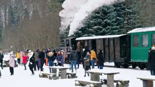 Viseu Sus Rumänien Januar 2022 Blick Auf Den Dampfzug Mocanita — Stockvideo