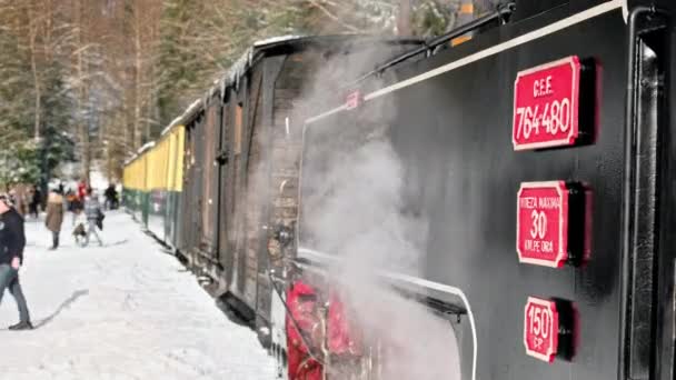 Viseu Sus Romania January 2022 View Steam Train Mocanita Railway — Stock Video