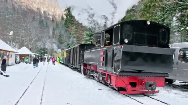 Viseu Sus Romania 2022年1月 冬の鉄道駅で蒸気機関車モカニタの眺め 乗客の多く 周りの裸の森 — ストック動画