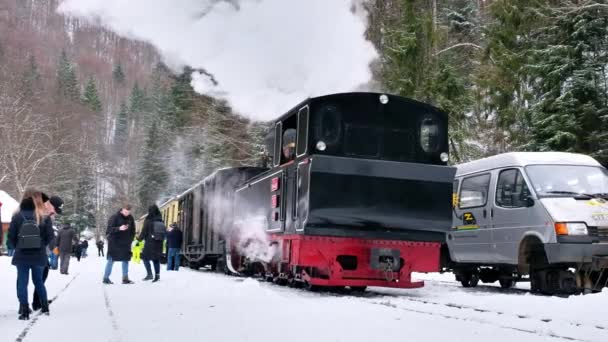 Viseu Sus Romania 2022年1月 冬の鉄道駅で蒸気機関車モカニタの眺め 乗客の多く 周りの裸の森 — ストック動画
