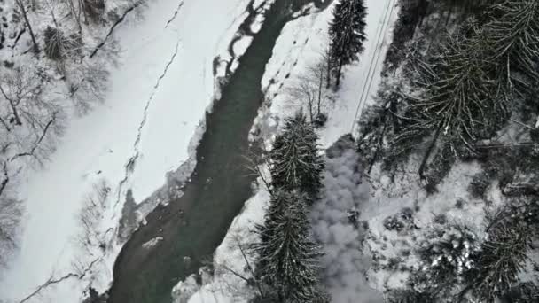 Letecký Dron Pohled Pohybující Parní Vlak Mocanita Údolí Podél Řeky — Stock video