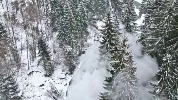 Aerial Drone View Moving Steam Train Mocanita Valley River Winter — Stock Video
