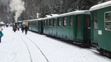 VISEU DE SUS, ROMANIA - HAZİRAN, 2022: Mocanita buharlı treninin kışın bir tren istasyonundaki görüntüsü, kar, bir sürü yolcu, çıplak orman