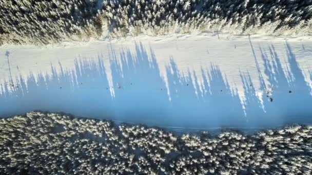 Luftaufnahme Einer Skipiste Den Karpaten Winter Rumänien Karger Wald Ringsum — Stockvideo