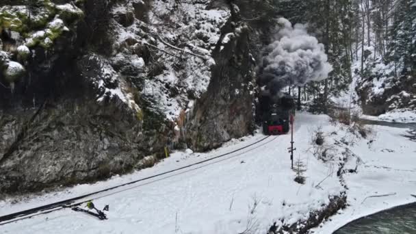 Viseu Sus Romania 2022年1月 冬の川沿いの渓谷 裸の森と雪に覆われた丘の中にある移動蒸気機関車モカニタの空中ドローンビュー — ストック動画