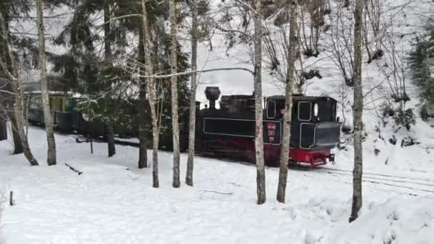 Viseu Sus Romania January 2022 겨울에 계곡을 후퇴하는 기관차 니타의 — 비디오