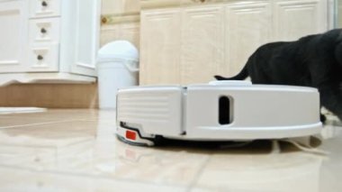 Evde robot süpürge çalışıyor, fayans zemininde hareket ediyor, yanında kedi var.