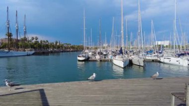 Barcelona, İspanya 'daki deniz limanı. Bir sürü demirli tekne ve yat var.