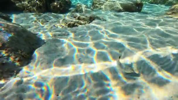 Fondo Del Mar Mediterraneo Luce Del Sole Pesci Che Nuotano — Video Stock