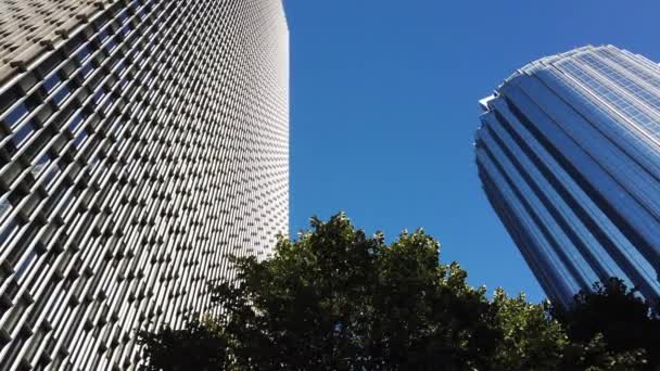 Blick Auf Zwei Moderne Glasgebäude Und Einen Grünen Baum Der — Stockvideo