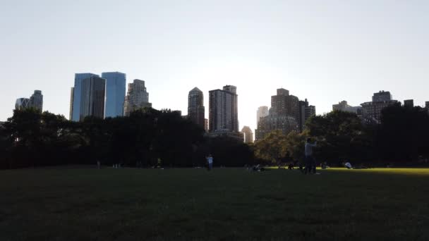 Brooklyn Bridge Park Med Manhattan Skyline Bakgrunden — Stockvideo