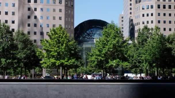 时代广场纽约曼哈顿在白天 白色建筑和绿色植被的景观 前景中的纪念碑9 — 图库视频影像