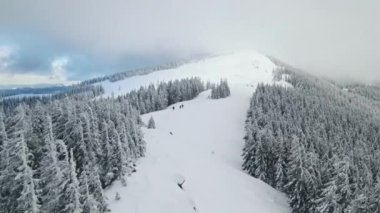 Romanya 'nın Karpatlar kentindeki bir yürüyüş turunun insansız hava aracı görüntüsü. Bir grup insan Giumalau zirvesine tırmanıyor. Kar ormanı, tepeler ve tepeler, alçak bulutlar