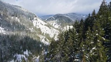 Romanya 'daki Karpatlar' ın insansız hava aracı görüntüsü. Tepeler ve tepeler kar ormanlarıyla kaplı, alçak bulutlar