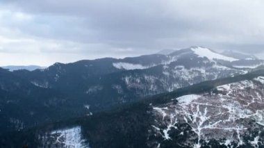 Romanya, Karpatlar kışı manzarası. Tepeler ve tepeler kar ormanlarıyla kaplı.