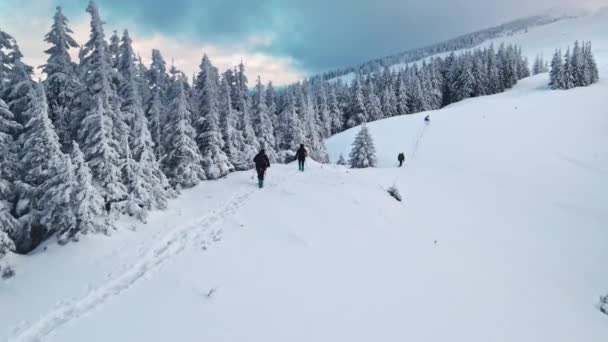 在罗马尼亚喀尔巴阡山冬季徒步旅行的空中无人驾驶飞机图像 一群人爬上了朱玛露峰 白雪公主 — 图库视频影像