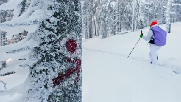 罗马尼亚喀尔巴阡山冬季徒步旅行的妇女 背着背包和滑雪杆的女人爬上朱玛露峰 — 图库视频影像