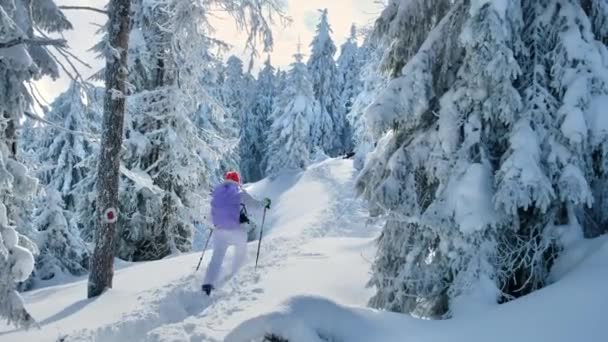 罗马尼亚喀尔巴阡山冬季徒步旅行的妇女 背着背包和滑雪杆的女人爬上朱玛露峰 — 图库视频影像