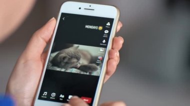 CHISINAU, MOLDOVA - FEBRUARY, 2022: iPhone 'da TikTok' a video yükleyen bir kadının yakın görüntüsü