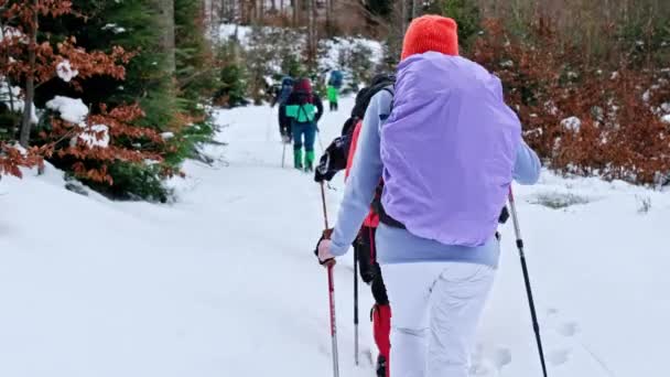 Giumalau Rumänien Januari 2022 Vandringstur Vintern Karpaterna Rumänien Grupp Människor — Stockvideo