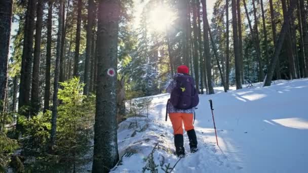 Giumalau Romania January 2022 Woman Resting Enjoying Beauty Winter Carpathians — Stock Video