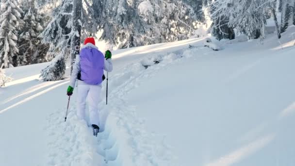 Giumaliu Romania January 2022 Hiking Woman Winter Carpathians Romania 背着背包和滑雪杆的女人爬上朱玛露峰 — 图库视频影像