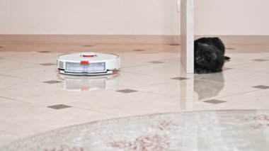 Evde robot süpürge çalışıyor, fayans zemininde ve halıda hareket ediyor, kedi onunla oynuyor.