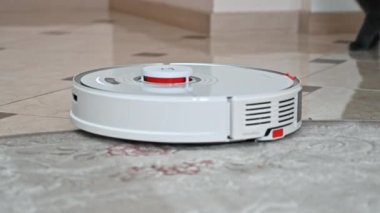 CHISINAU, MOLDOVA - Şubat 2022: Evde çalışan Roborock robotik elektrik süpürgesi. Bir halının kenarında hareket eden, yakınındaki bir kedi