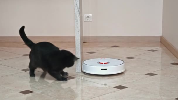 Chisinau Moldova February 2022 Working Roborock Robotic Vacuum Cleaner Home — 图库视频影像