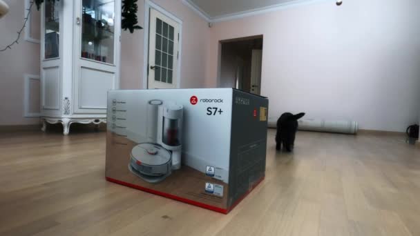 Chisinau Moldova 2022年2月 Robock Plusロボット掃除機ボックスが部屋に設置されています 猫が近くを歩く — ストック動画