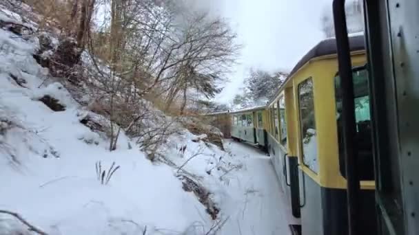 Vista Del Tren Vapor Movimiento Mocanita Desde Interior Pendiente Colina — Vídeo de stock