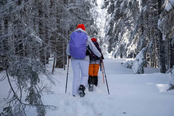 两个年轻的女徒步旅行者的背影 穿着鲜艳的滑雪服装 头戴鲜艳的彩色帽子 这次旅行被雪覆盖着 — 图库照片
