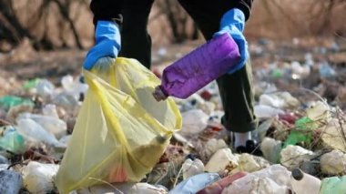 Adam doğada yerden plastik şişeler topluyor.