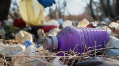 Adam doğada yerden plastik şişeler topluyor.