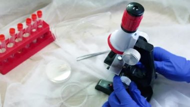 Eldivenli adam mikroskop, test tüpleri ve gözlüklerle çalışıyor.