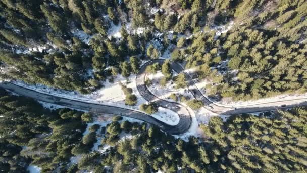 Veduta Aerea Drone Della Primavera Carpazi Romania Valle Con Strada — Video Stock
