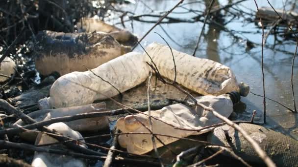 Bir Sürü Dağınık Plastik Şişeyle Nehir Kıyısında — Stok video